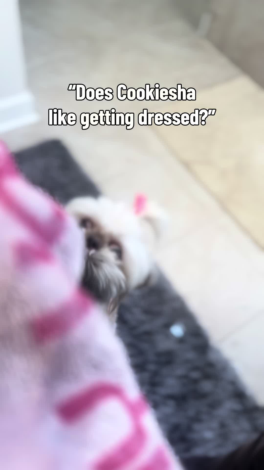 @nitaandcookiesha