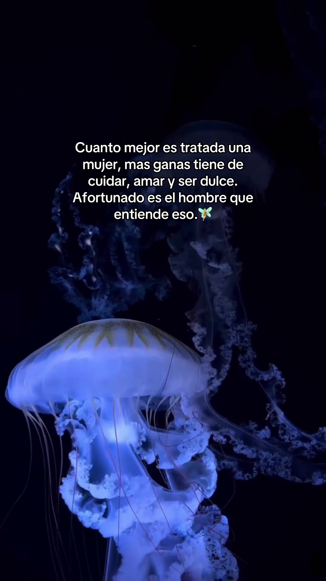 @🧚🏻