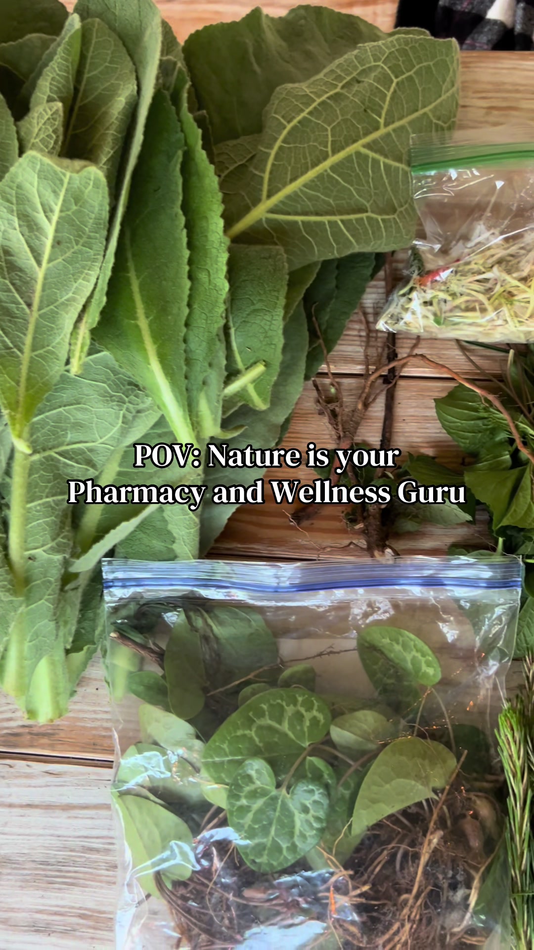@Indigigardener