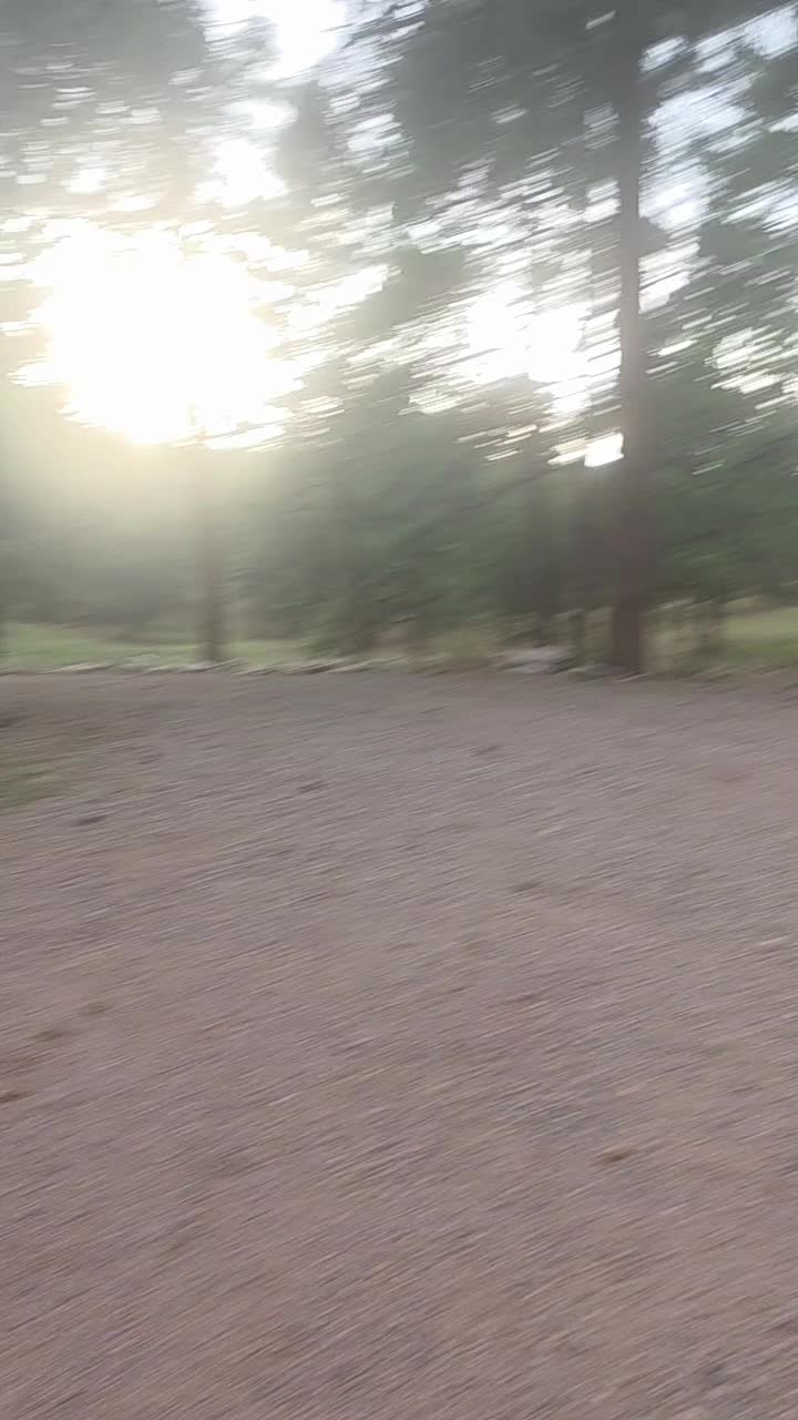 @mini Rios 86