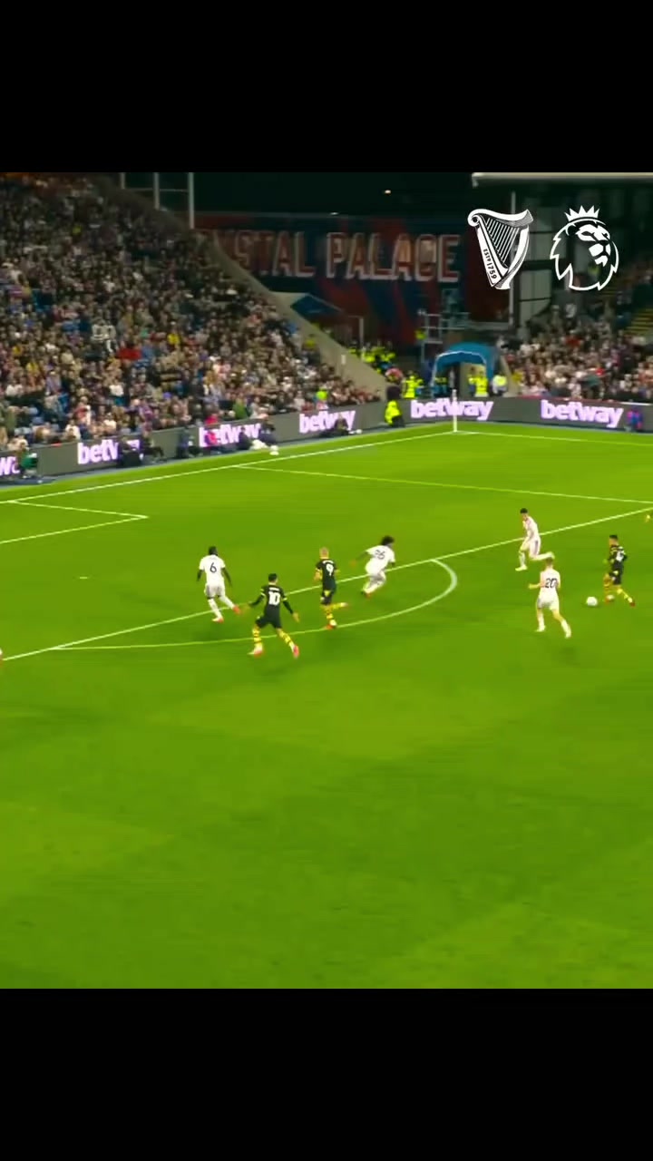 @Manchester city fan base