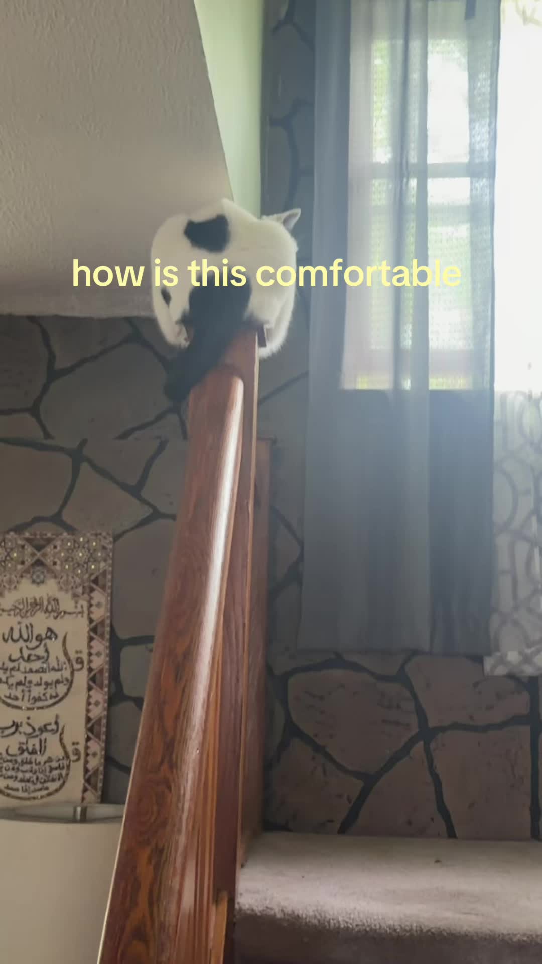 @Zara