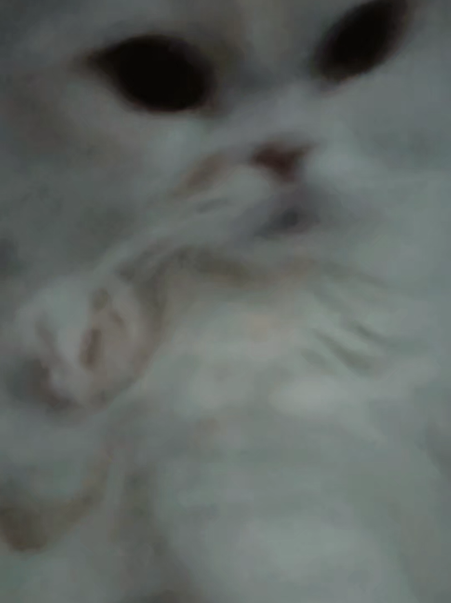 @๐๋ง๋ฆฐ๋ธ๋ฃจJ