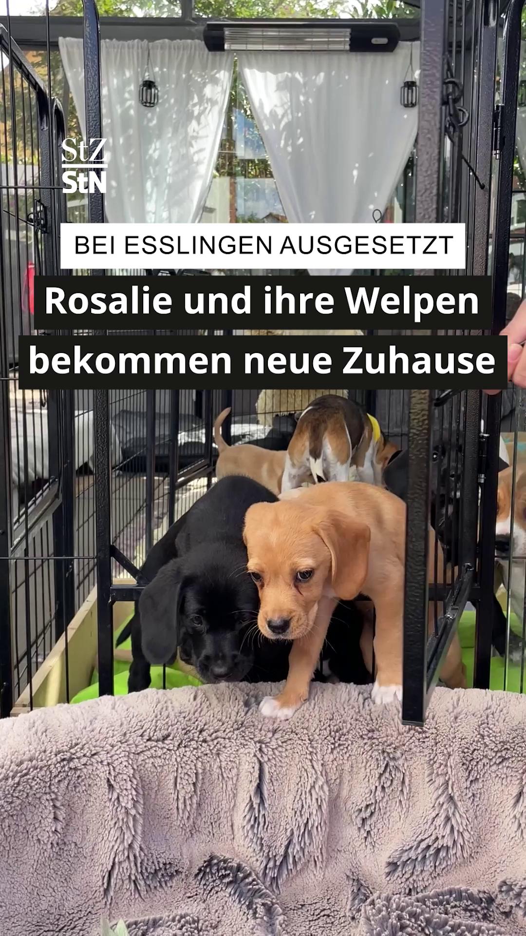 @StZ