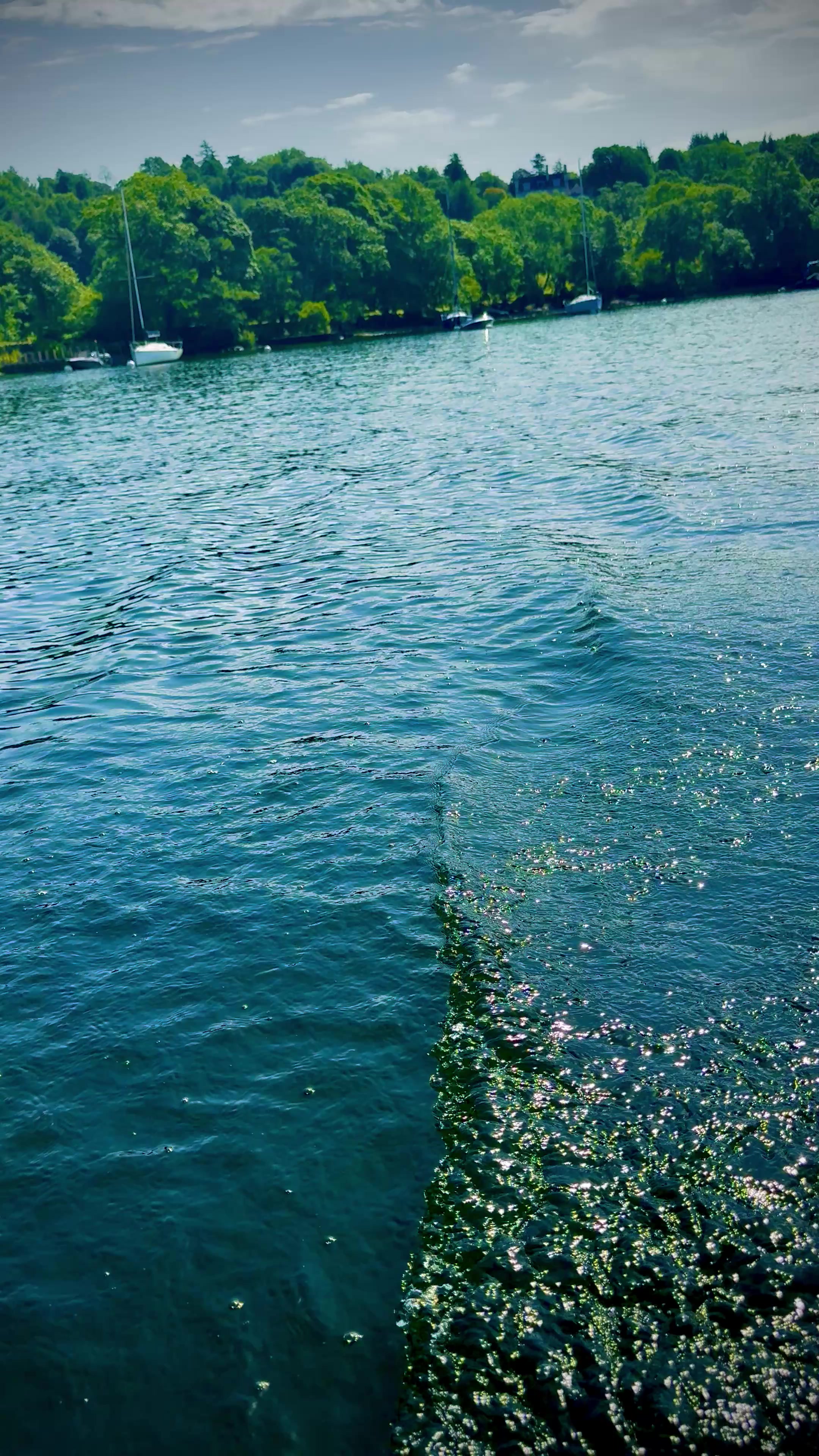@Nature lover