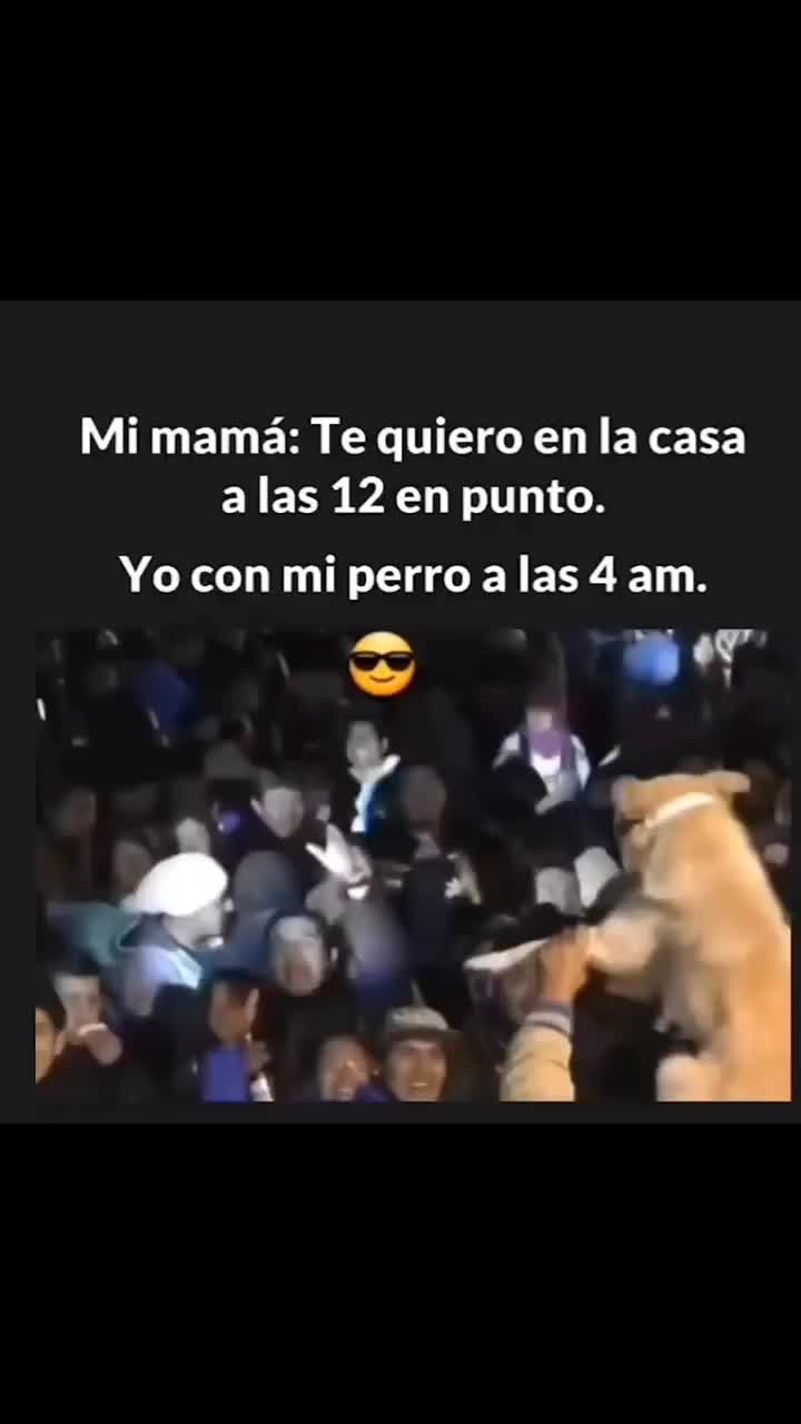 @el panda solitario
