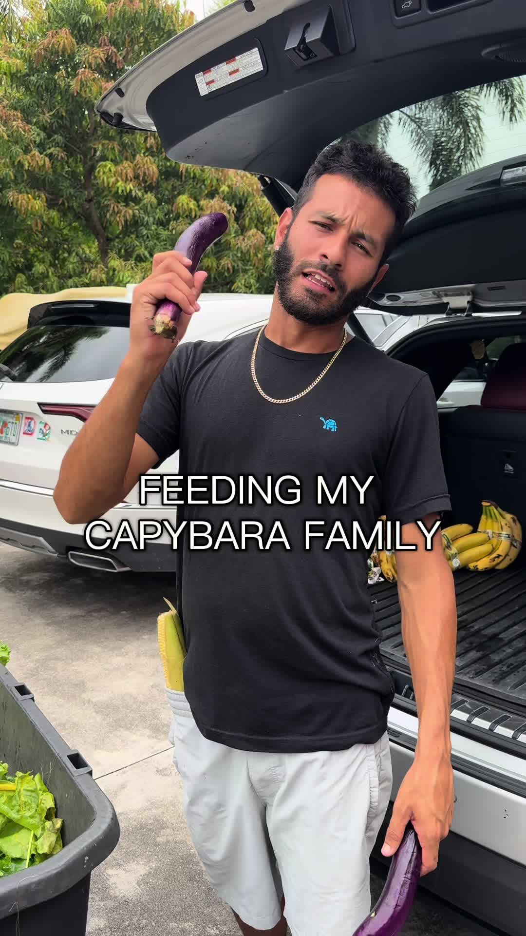 @B.E.A.R