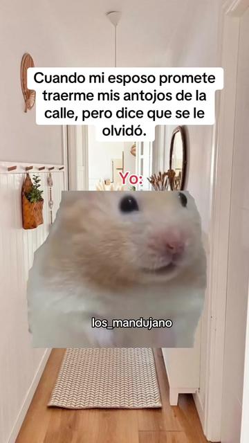 @LOS MANDUJANO