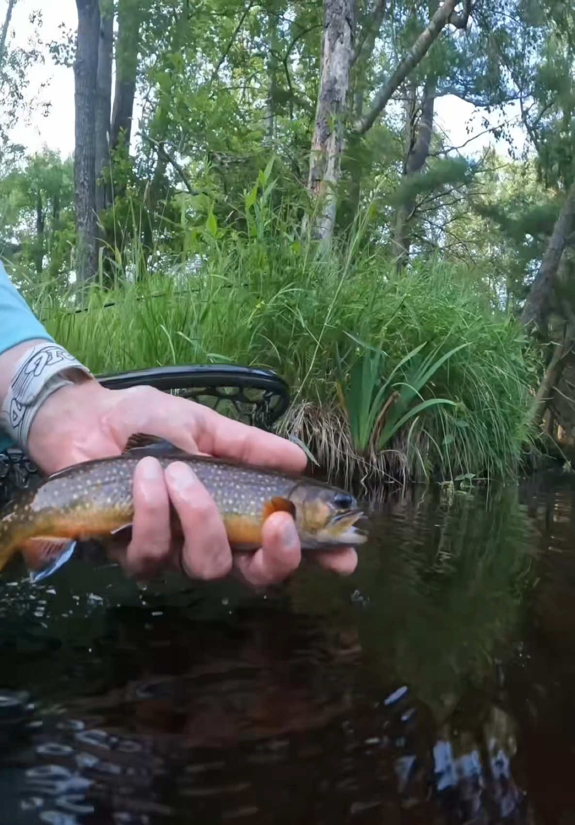 @FlyFishDelawhere