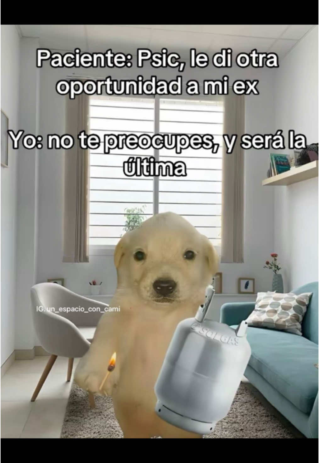 @Psic&oacute;loga Camila ✨