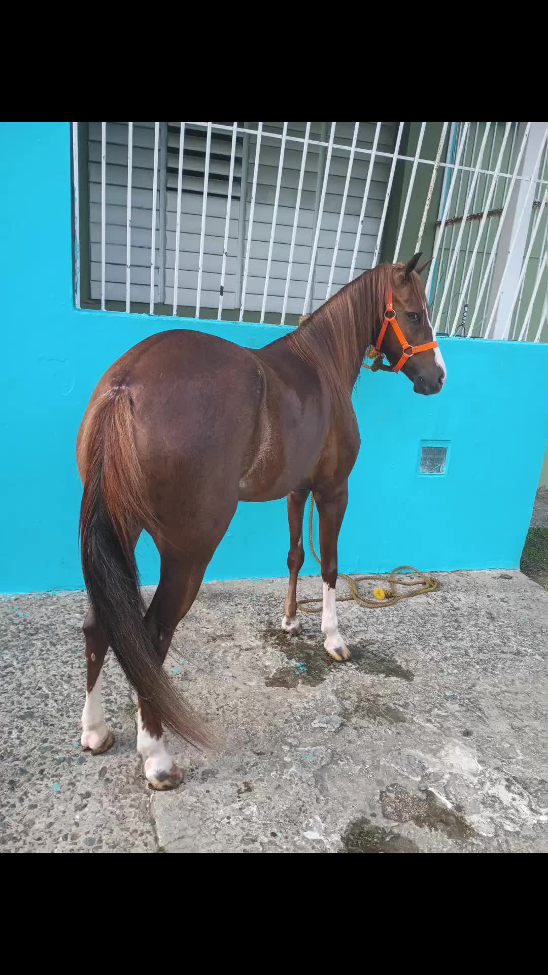@Hacienda Los Queridos