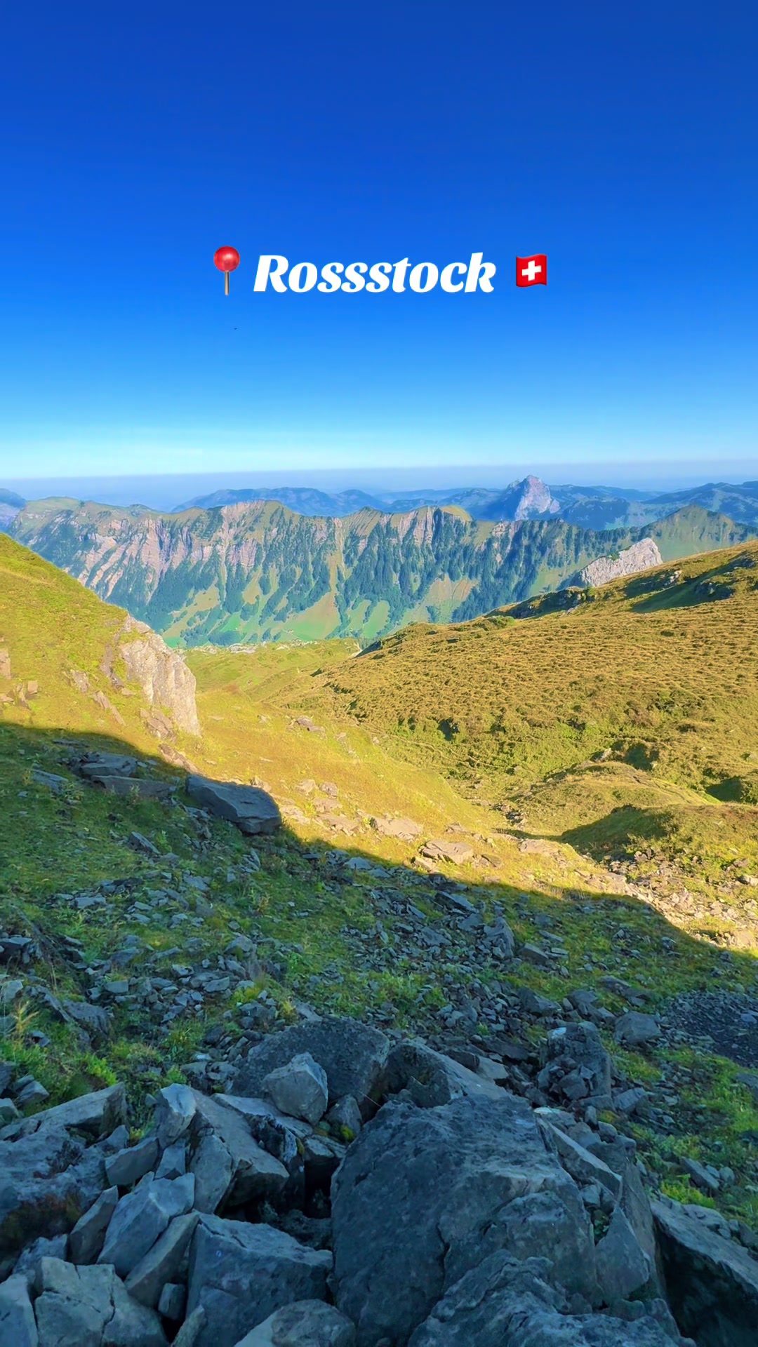 @swiss_alps