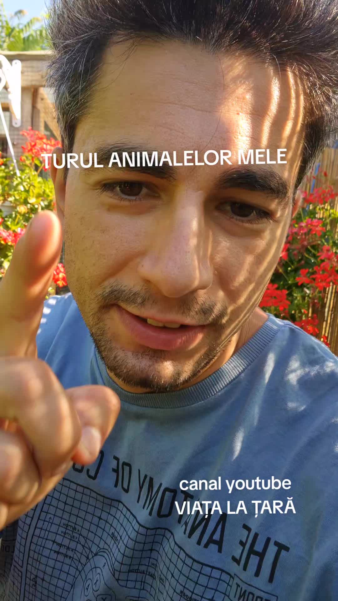 @Bogdan Hriscu