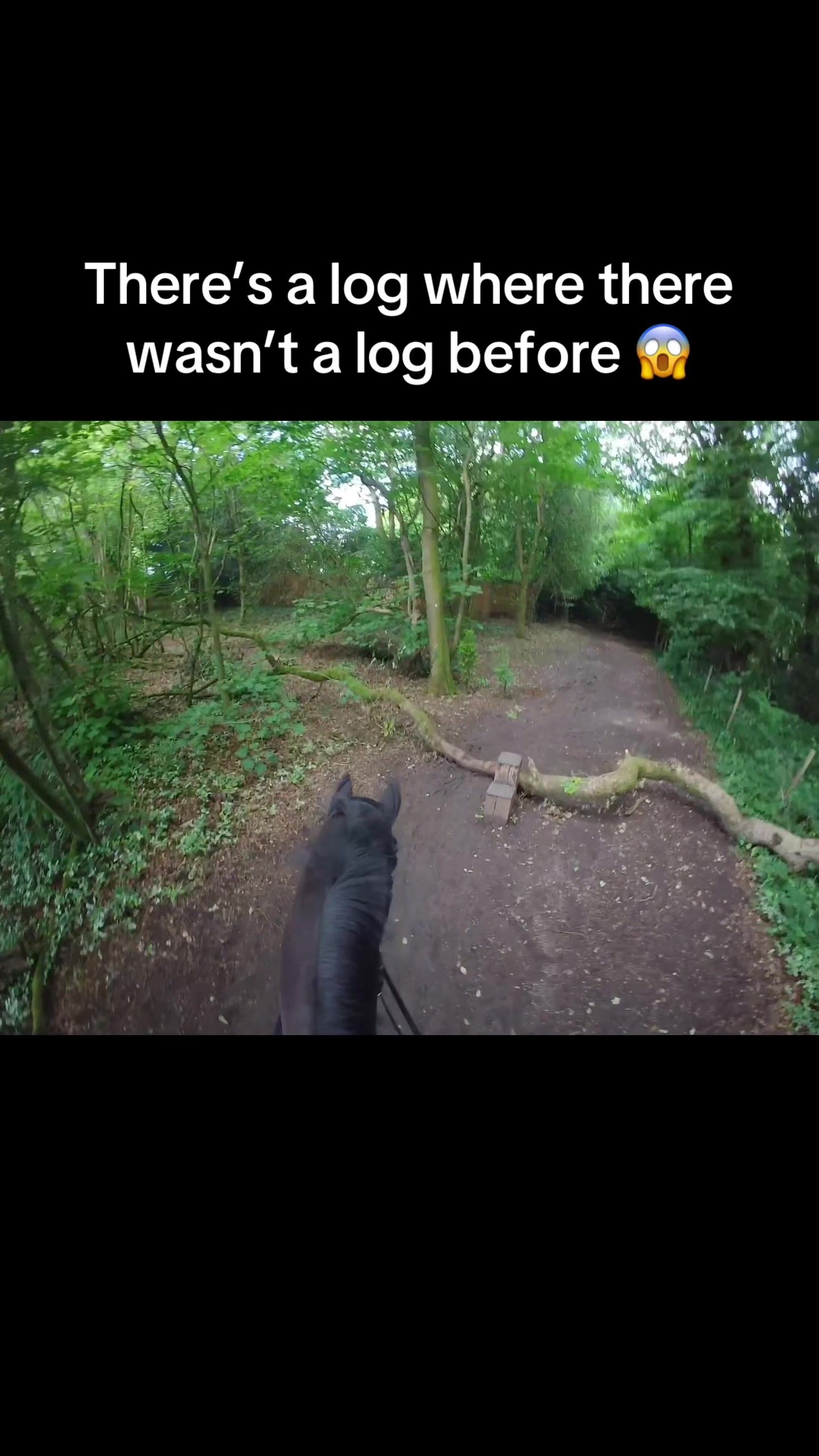 @AgirlandherShadow1