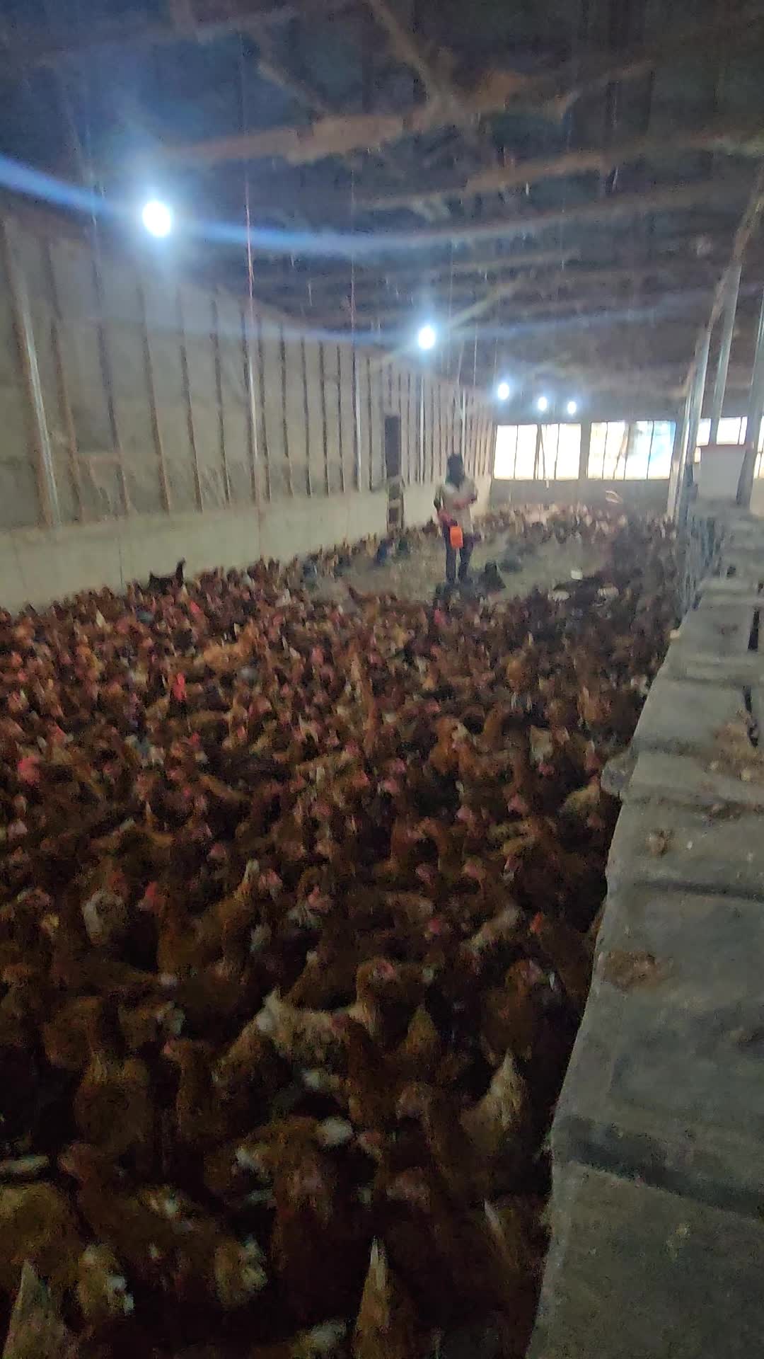 @thetri farms