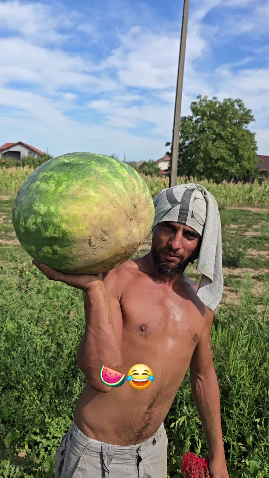 @Faze Farm