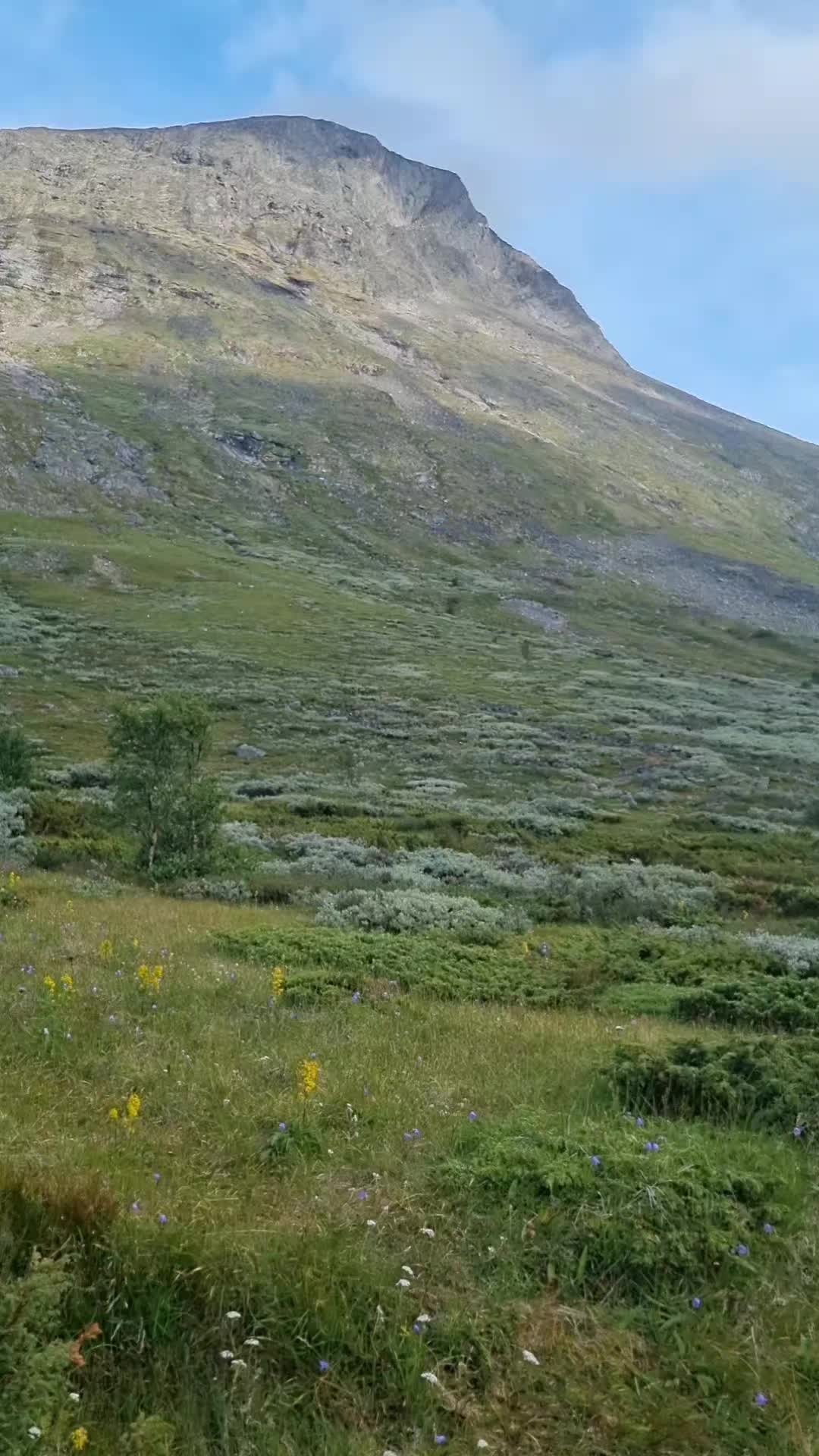 @PM💚