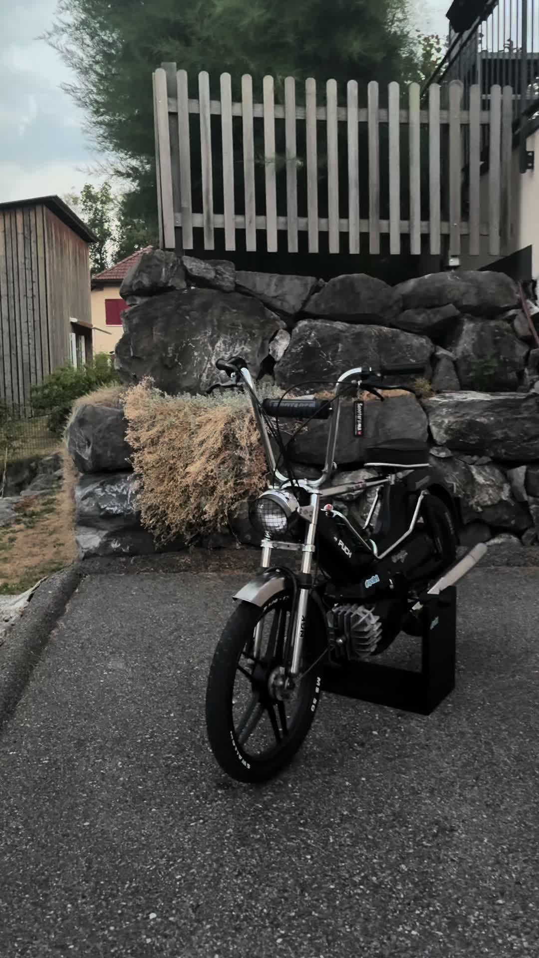 @Black_Puch_swiss