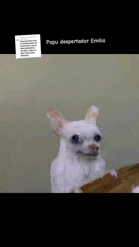 @Ivonne