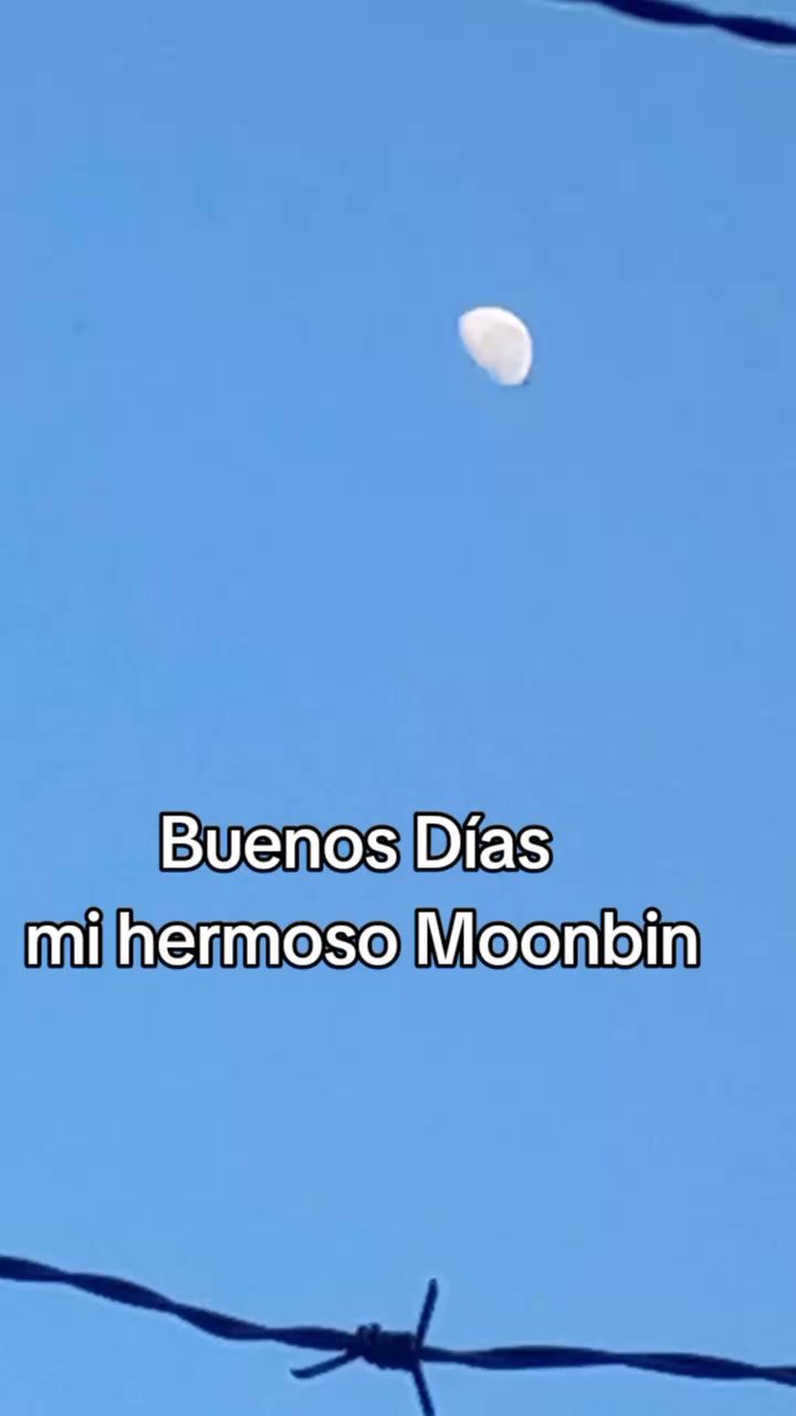 @Silvia BinAroha