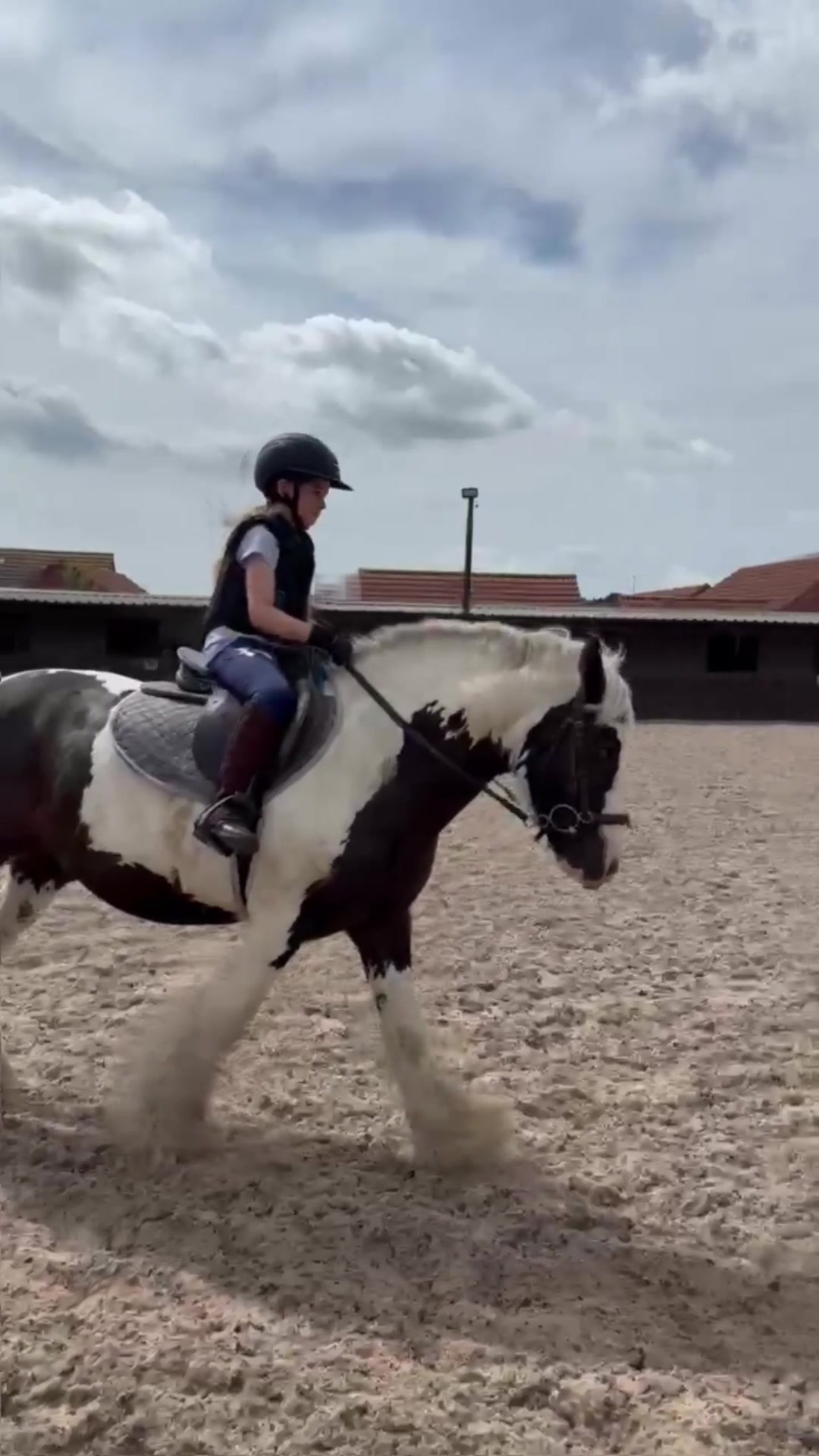 @LottiesHorseAdventures🦄🐴
