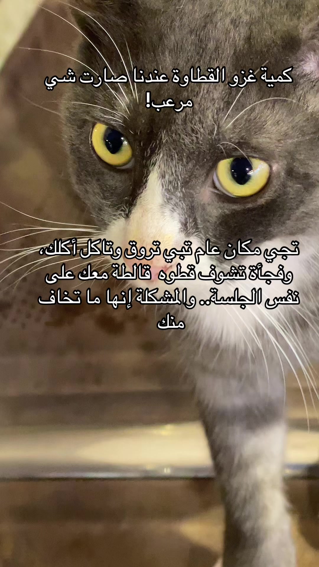 @عمر