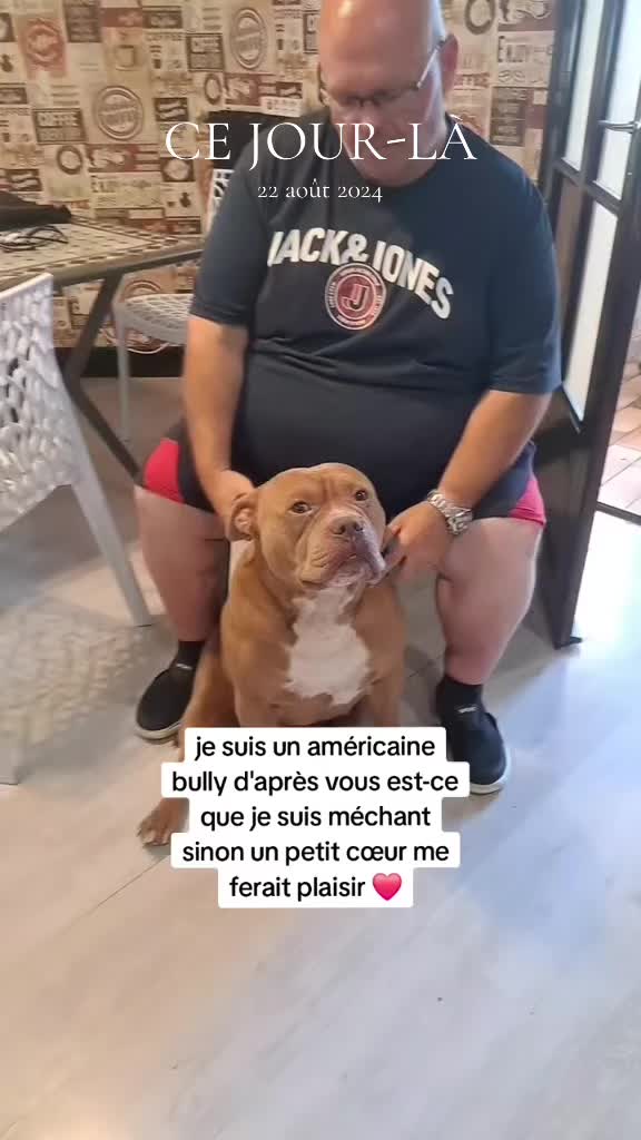 @🧩team bully🐶🧸 CB59 😂