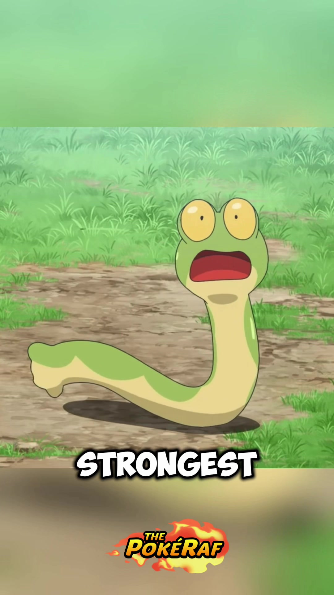 @ThePokéRaf
