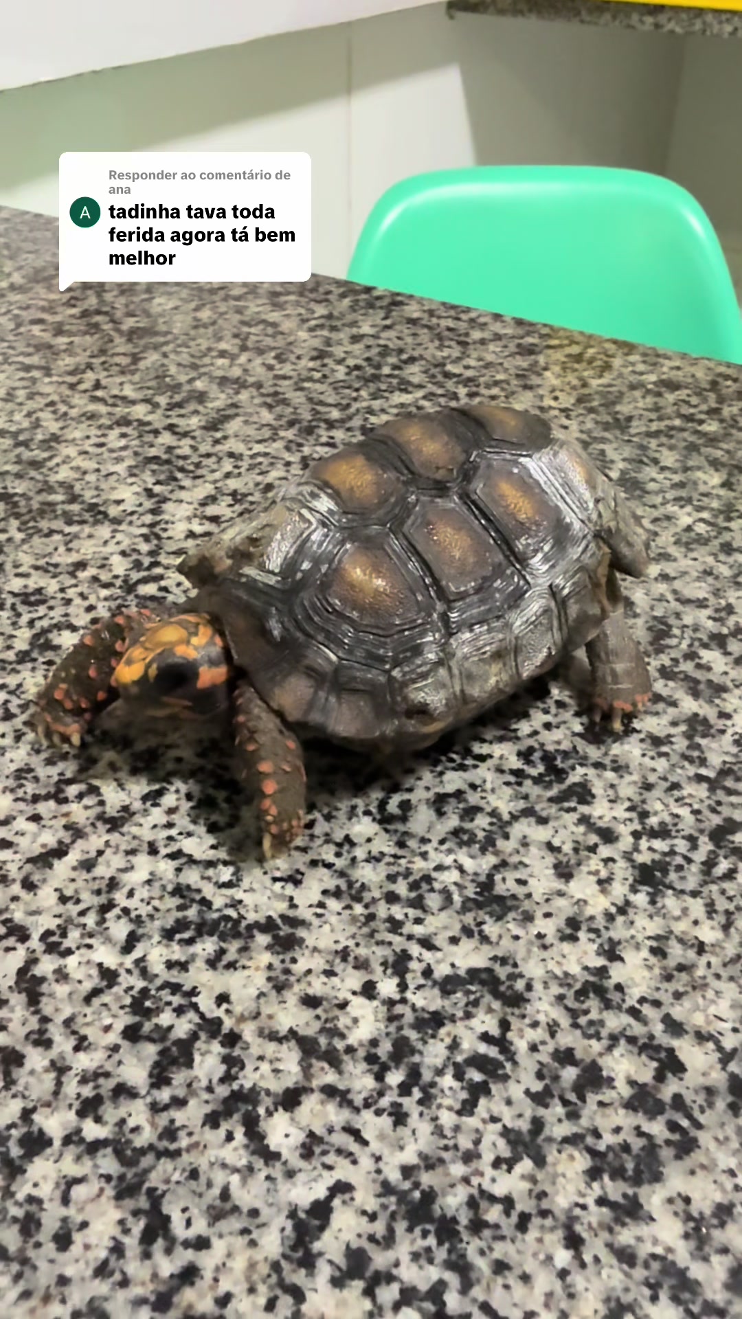 @Francinny Veterinária®️