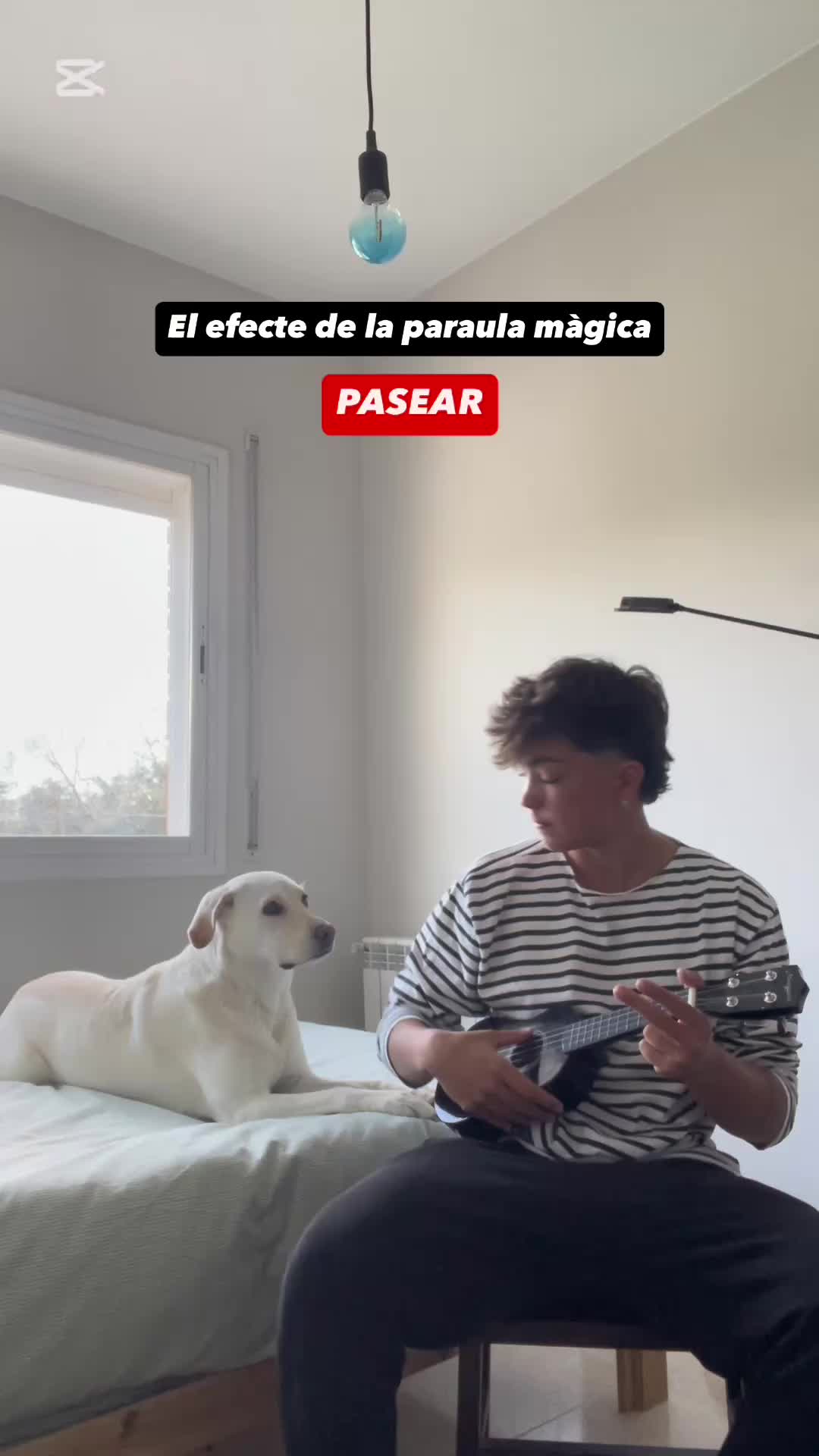 @Silvia Morell