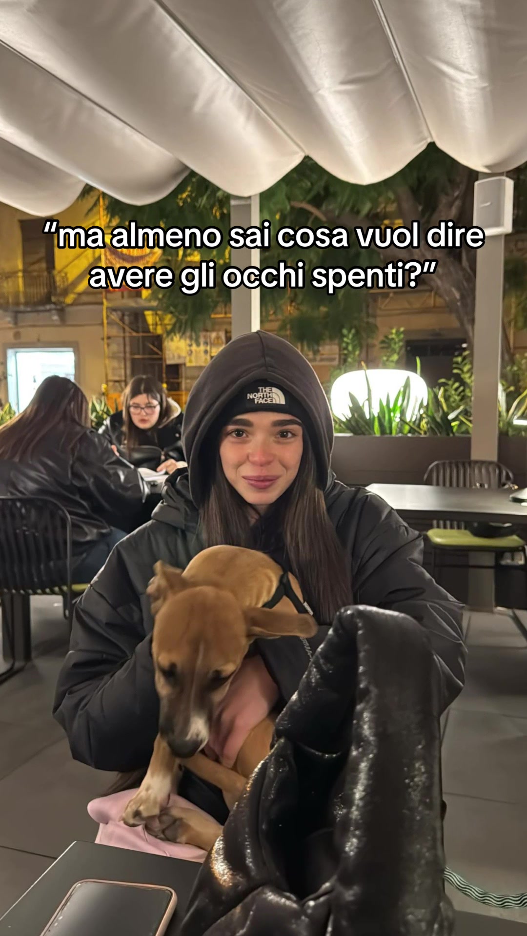 @Ni