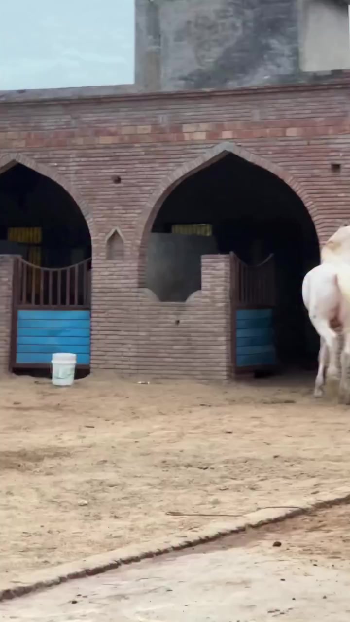 @@𝙂𝙍 𝙃𝙤𝙧𝙨𝙚 𝙁𝙖𝙧𝙢 🐴
