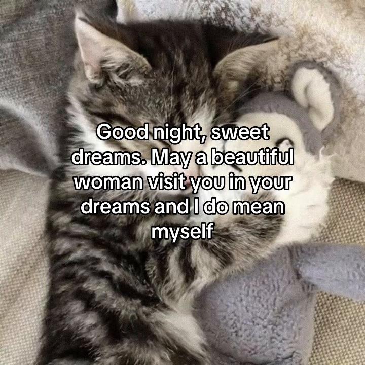 @Maisieᖭི༏ᖫྀ