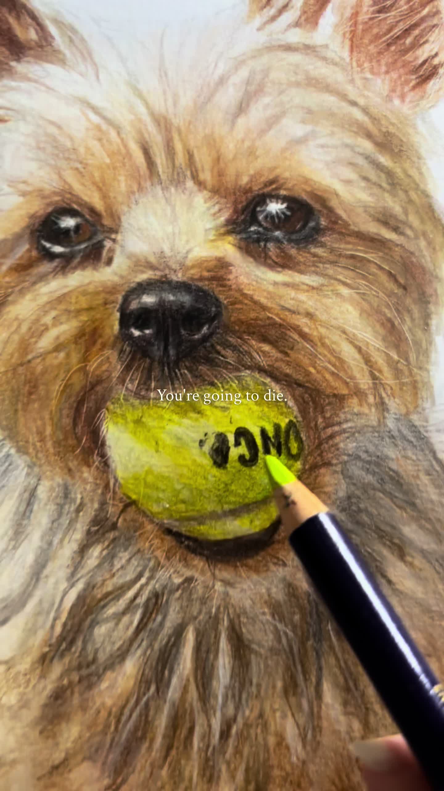 @Fins_fine_art