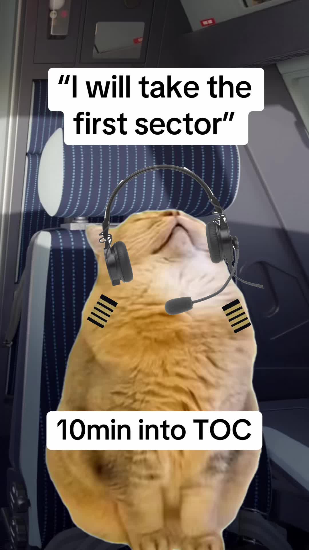 @Flap Operator