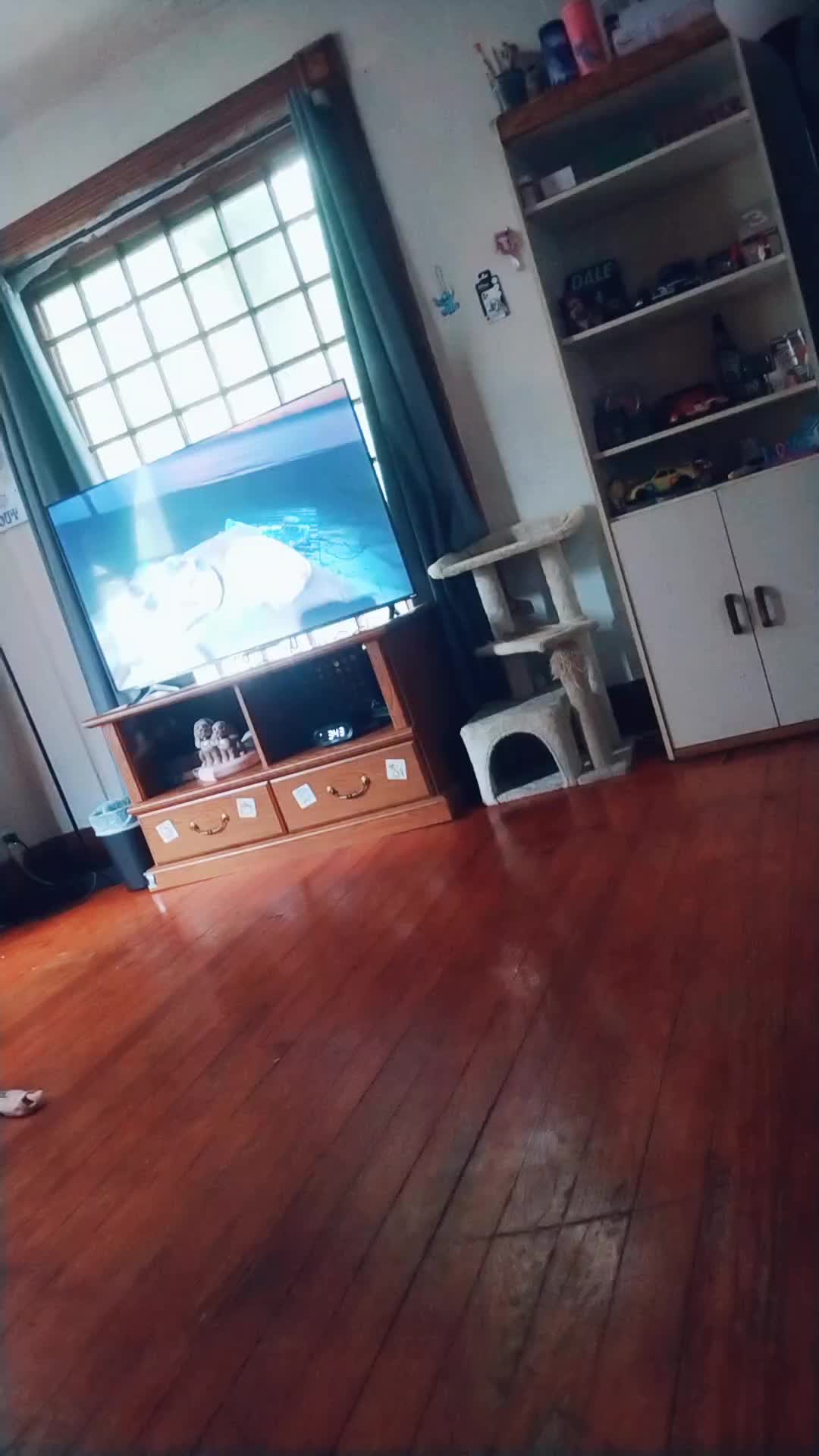 @SEPTEMBER _ GURL 1980