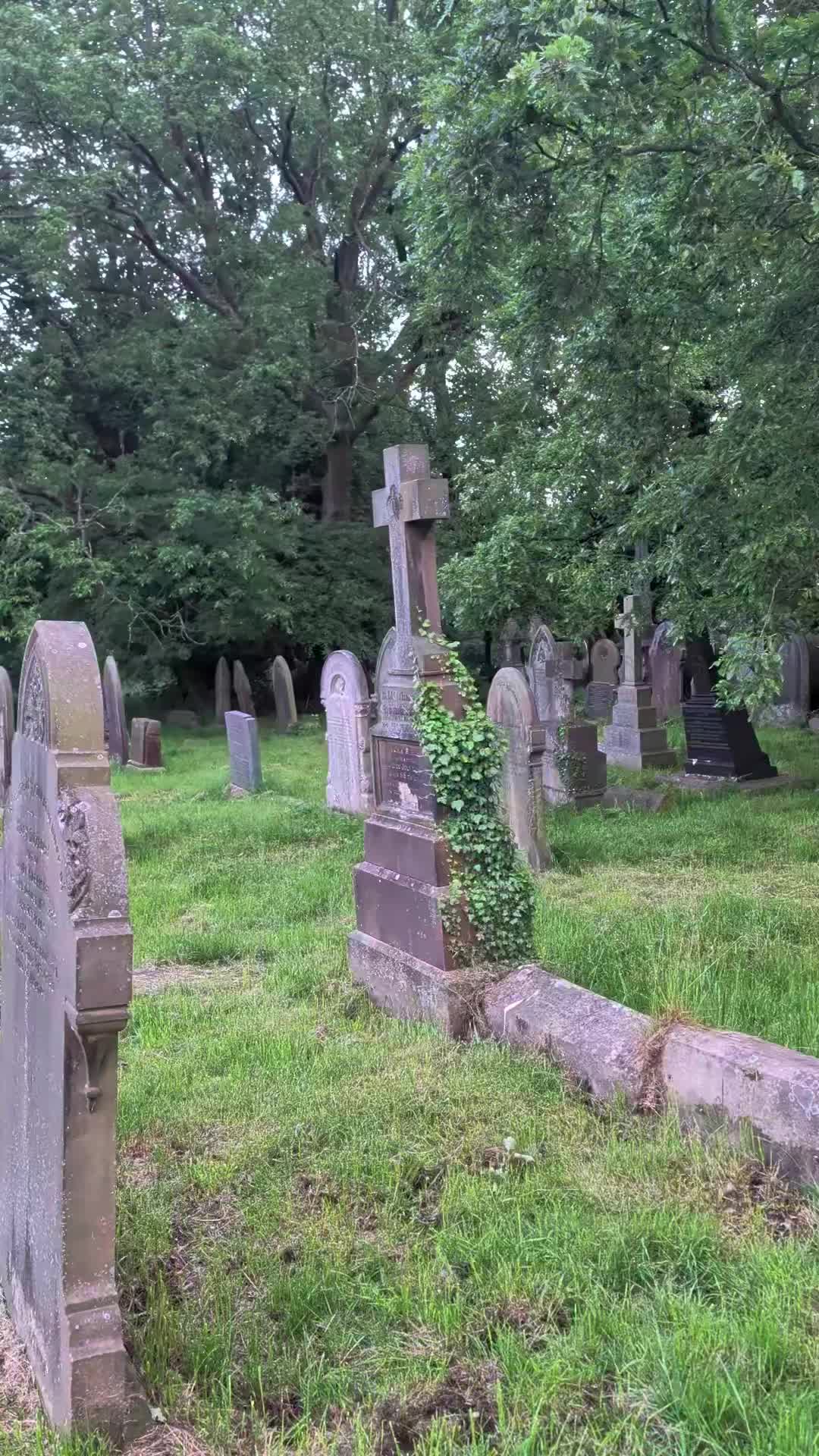 @GraveSnape🪦