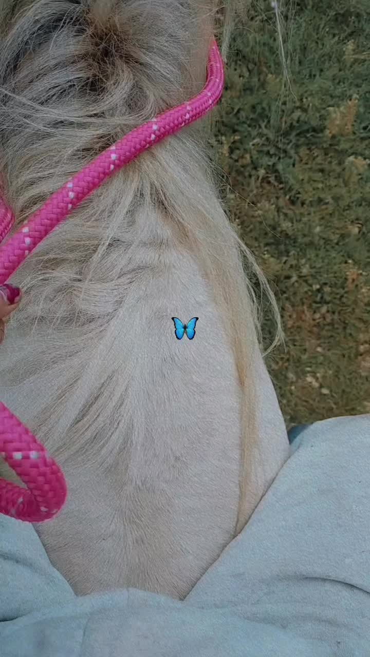 @❤️👌❤️👌❤️👌❤️