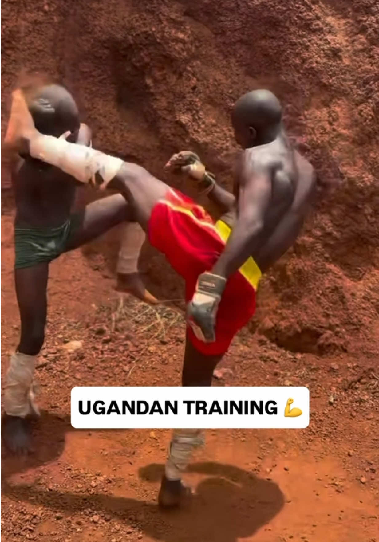 @FightingLab