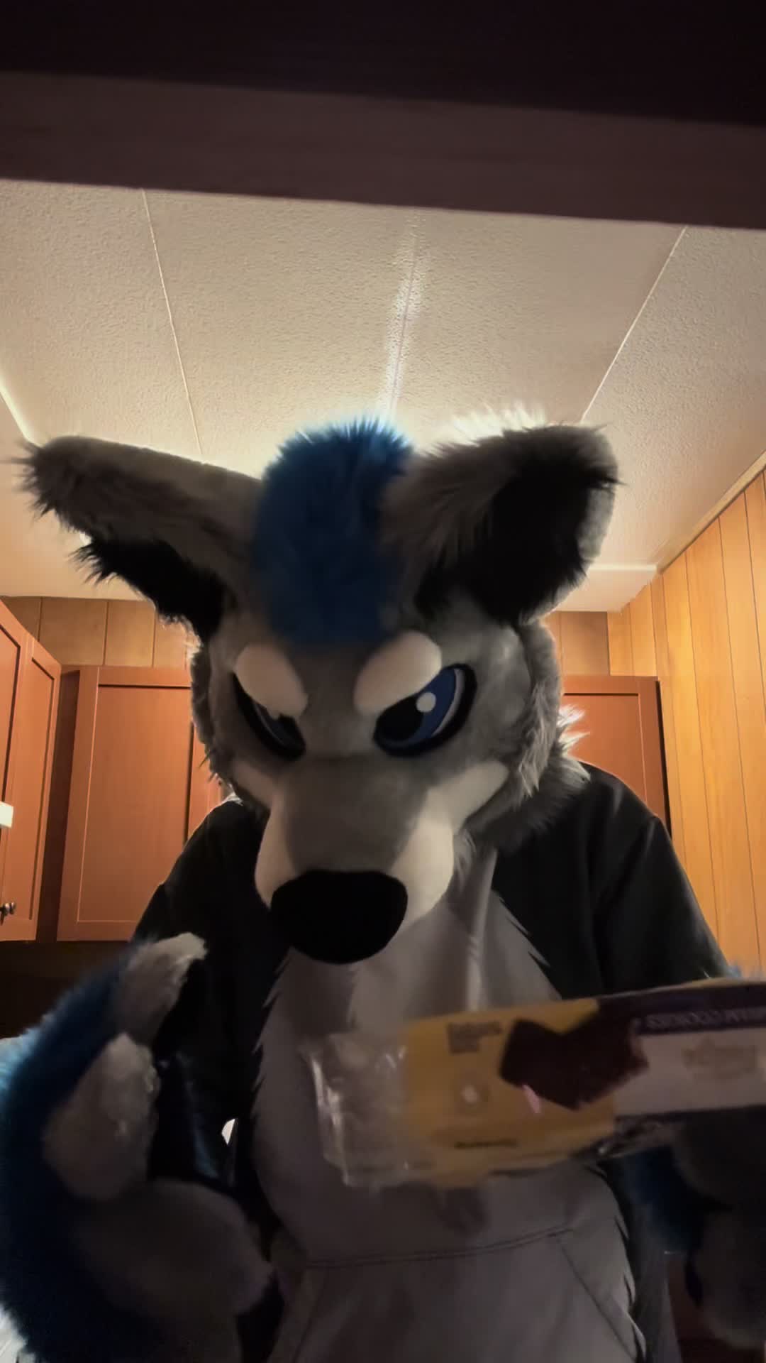 @BlueSilver_Wolf