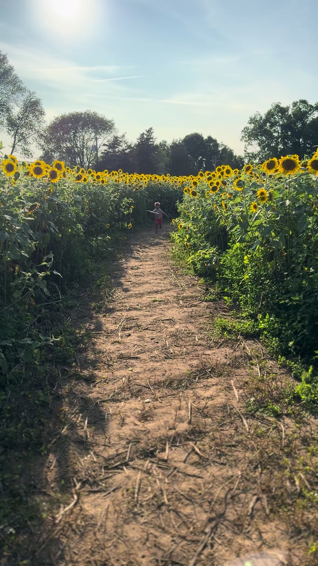 @Netsi | Solo Mom, Late Bloomer