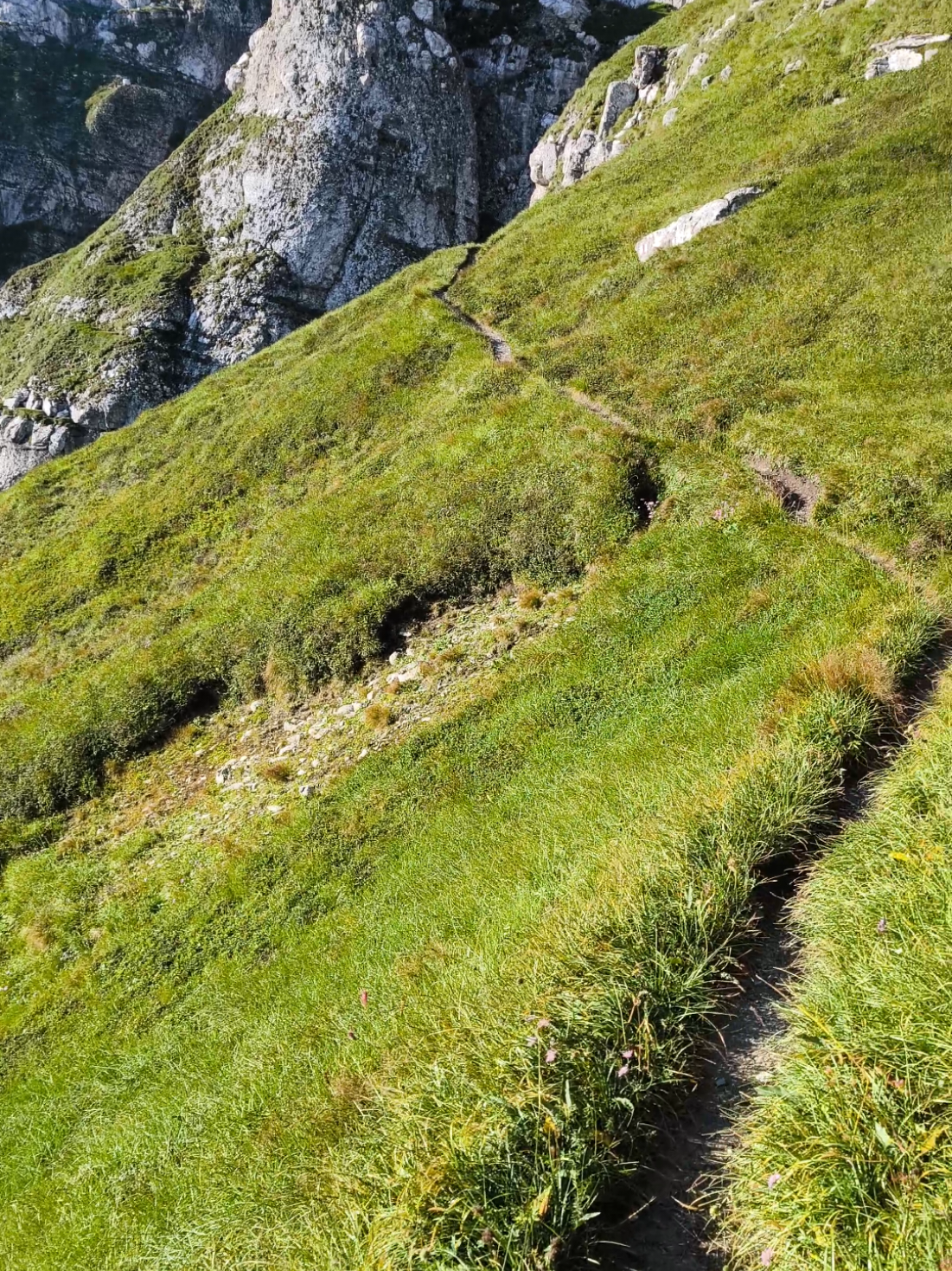 @Călător prin viață 🌅🏞️🌌