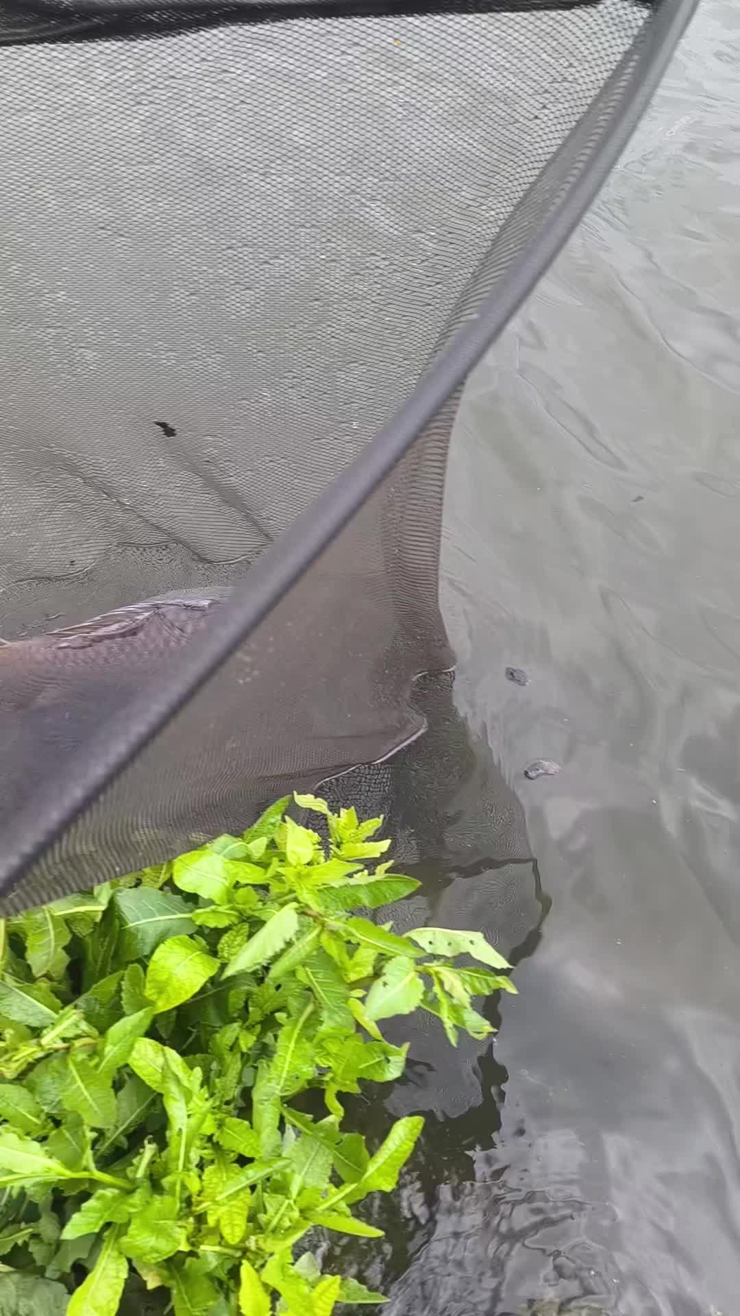 @Jocarpfishing