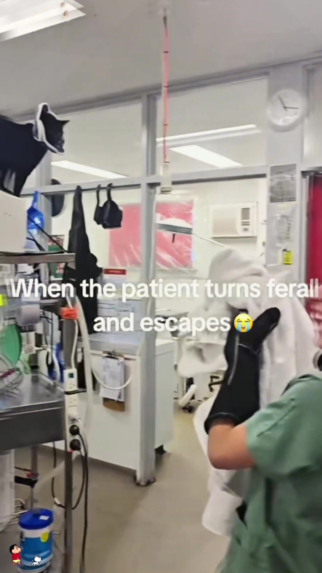 @SneakyFails