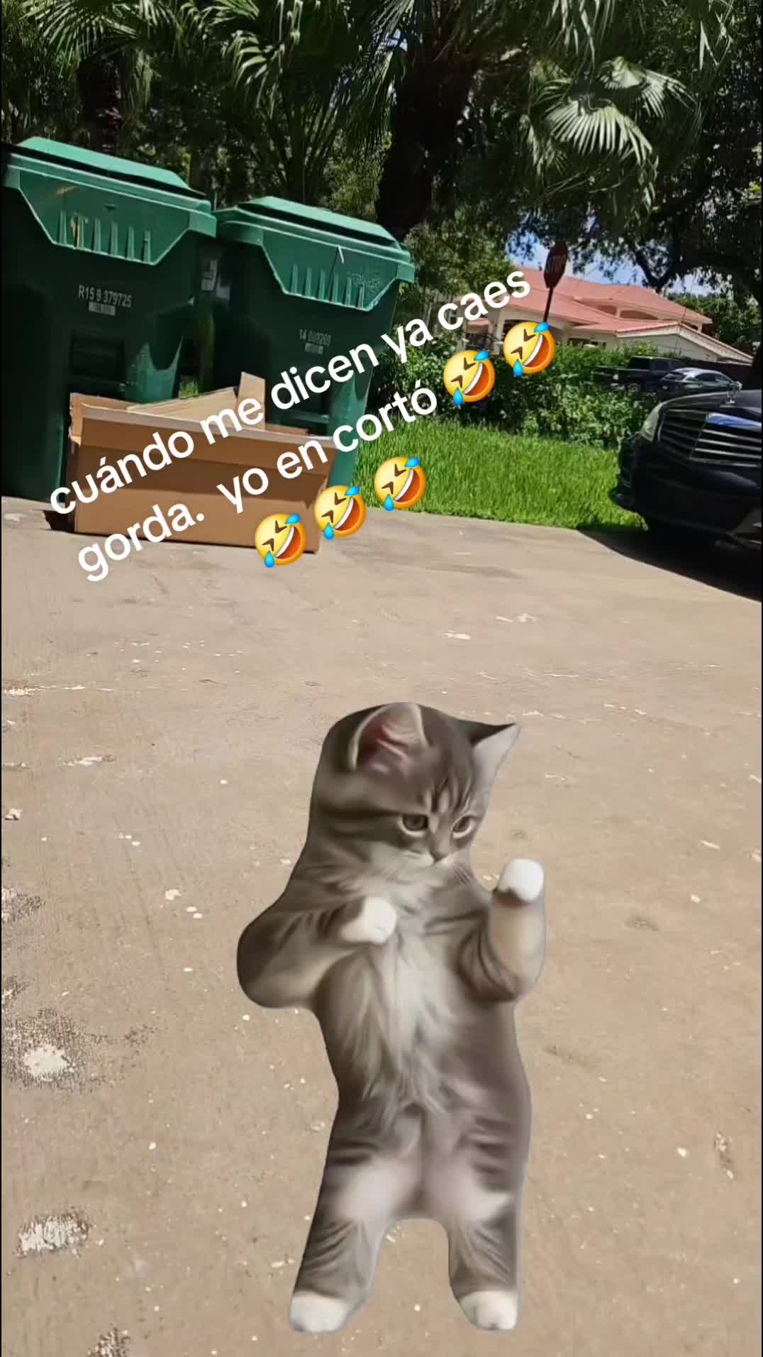 @DIOS CON MIGO