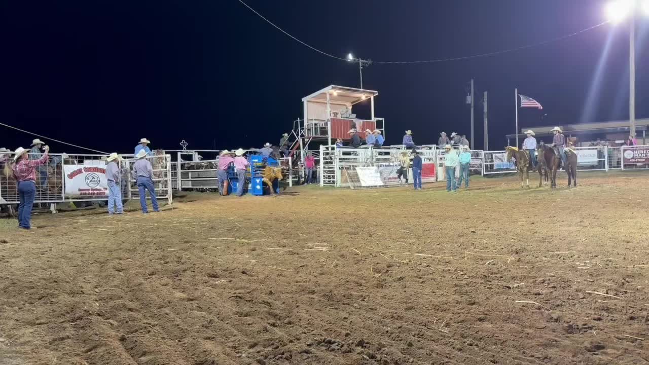 @scottdailyhorsetraining
