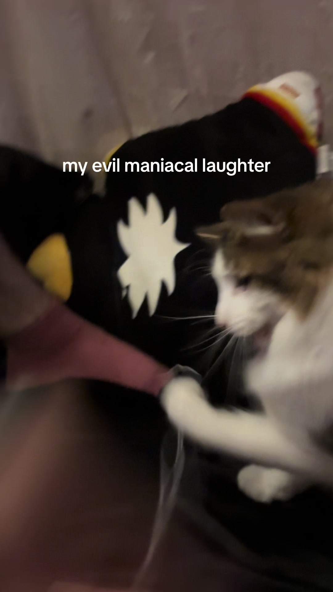 @hautavoix