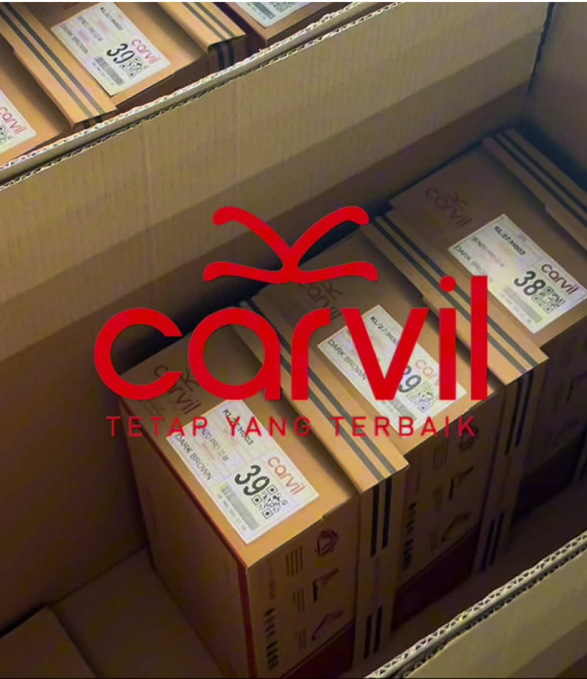 @CarvilOfficial