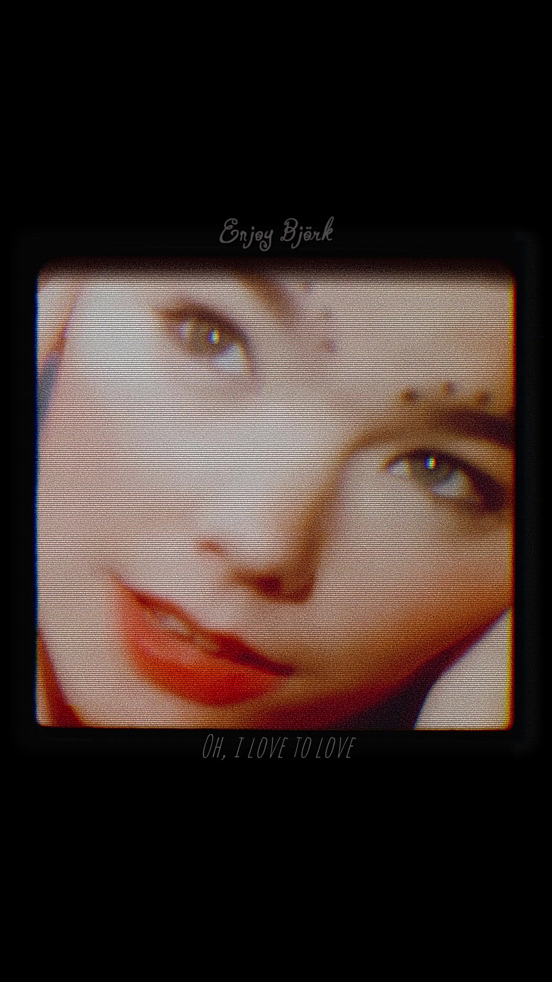 @Enjoy Bj&ouml;rk