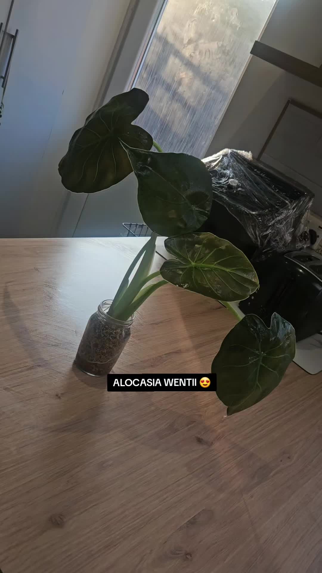 @preeka💫